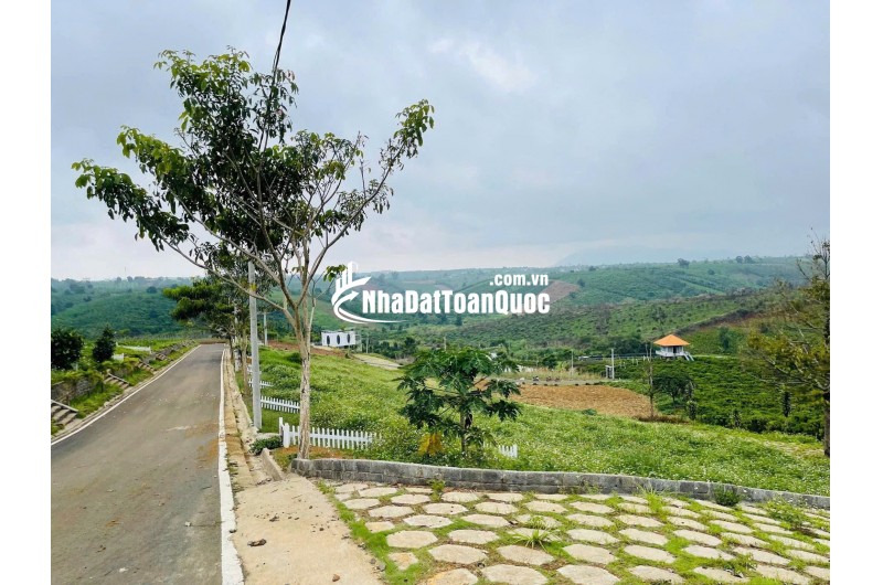 [HOT] Sở hữu ngay 1 lô tại NaLi Chill - Homestay and BBQ giá bán chỉ 850TR